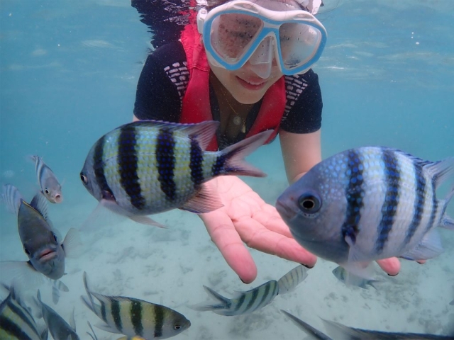 โครงการสัมมนาสมาชิก ประจำปี 2568 วันเสาร์ที่ 14 – วันอาทิตย์ที่ 15 มิถุนายน 2568 ณ อาคารรับรอง 2 กิจการกองทัพเรือ อ.สัตหีบ จ.ชลบุรี