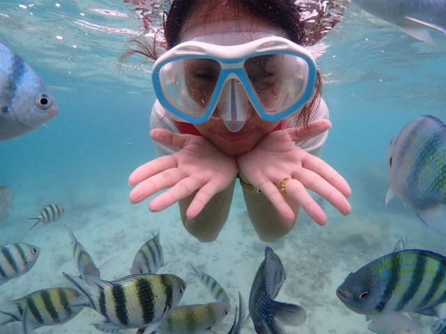 โครงการสัมมนาสมาชิก ประจำปี 2568 วันเสาร์ที่ 14 – วันอาทิตย์ที่ 15 มิถุนายน 2568 ณ อาคารรับรอง 2 กิจการกองทัพเรือ อ.สัตหีบ จ.ชลบุรี